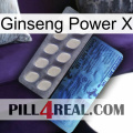 Ginseng Power X 34